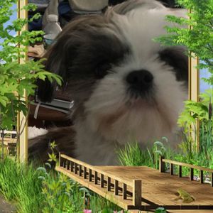 Meet your Posher, Pamula